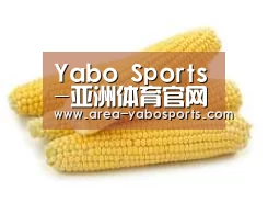 产品名称五
