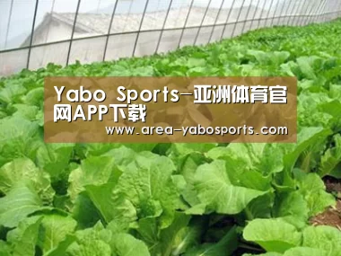 种植基地一