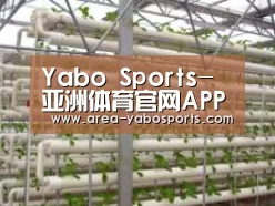 环境展示六