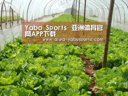种植基地五