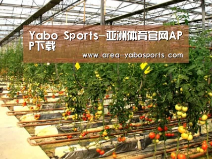 种植基地二(图1)