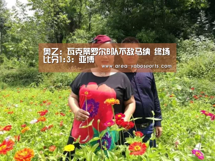 奥乙: 瓦克蒂罗尔B队不敌马纳 终场比分1:3:亚博(图4) 亚博官网